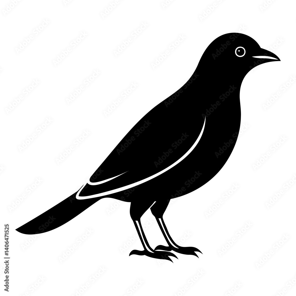 Obraz premium Myna Bird Silhouette Vector Clean Black Line Art for Designers