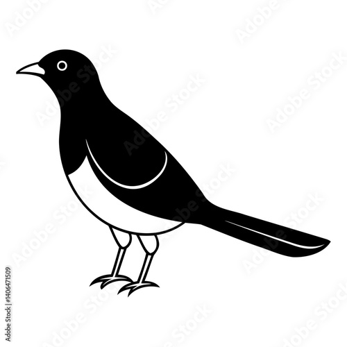 Myna Bird Outline Vector Isolated Black Silhouette Art on Transparent Background