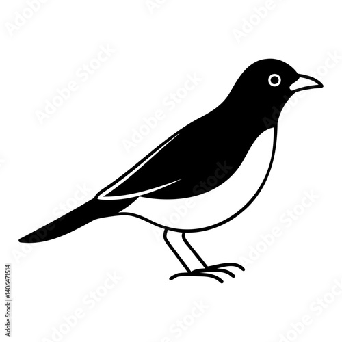 Myna Bird Outline Vector Isolated Black Silhouette Art on Transparent Background