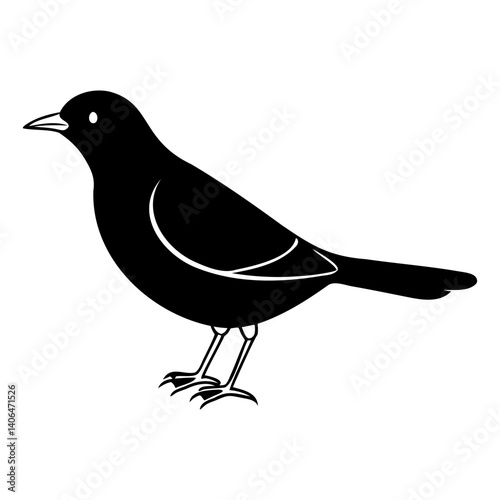 Myna Bird Silhouette Vector Clean Black Line Art for Designers