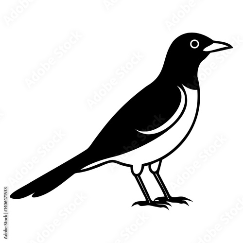 Myna Bird Silhouette Vector Clean Black Line Art for Designers