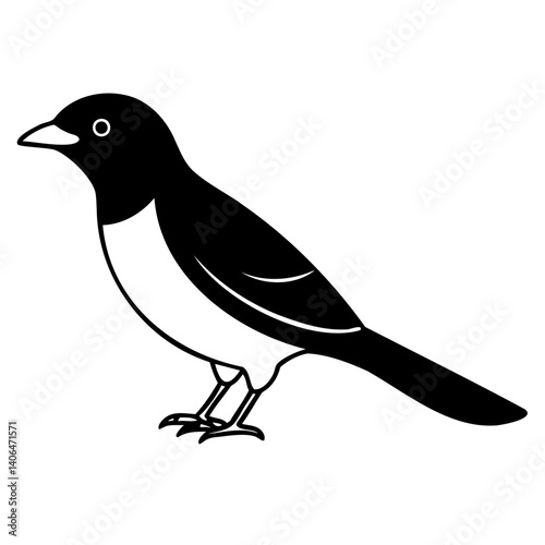 High-Quality Myna Bird Line Art Black Vector Isolated on Transparent Background