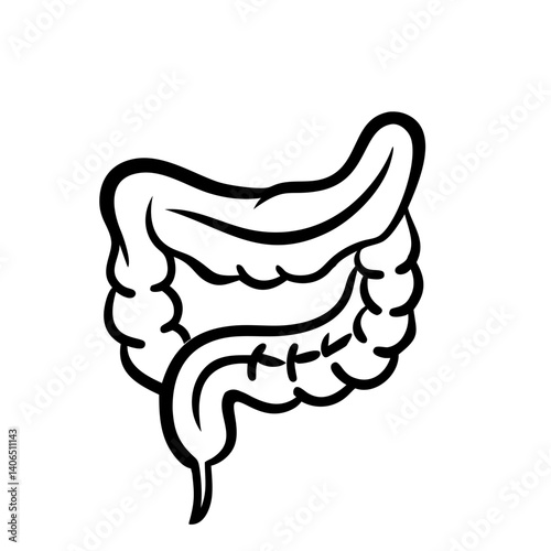 hand-drawn sketch human intestine illustration