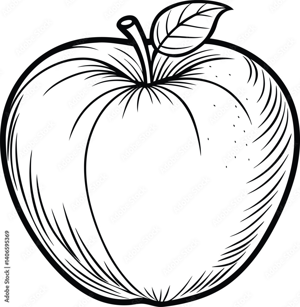 Apple Line Art Vector Illustration Minimal Sketch Design Apple Line Art Vector Illustration Minimal Sketch Design