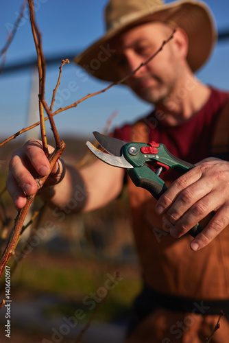 Obraz na płótnie Male gardener with hat working in a blueberries organic farm. w salonie