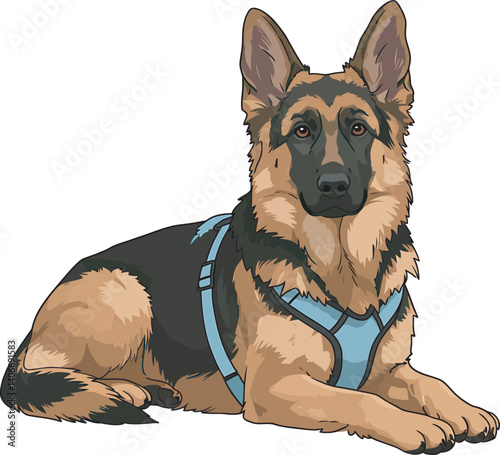 German Shepherd Vector Illustration on White Background, Breed Art.