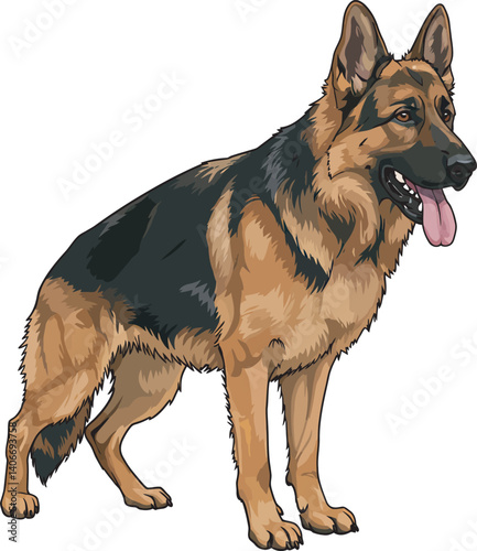 German Shepherd Vector Illustration on White Background, Breed Art.