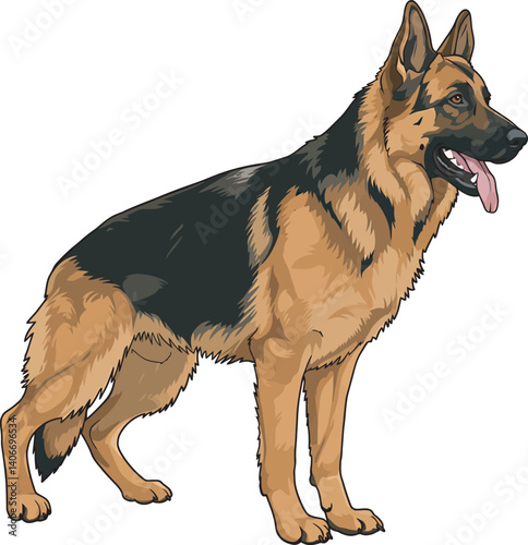 German Shepherd Vector Illustration on White Background, Breed Art.