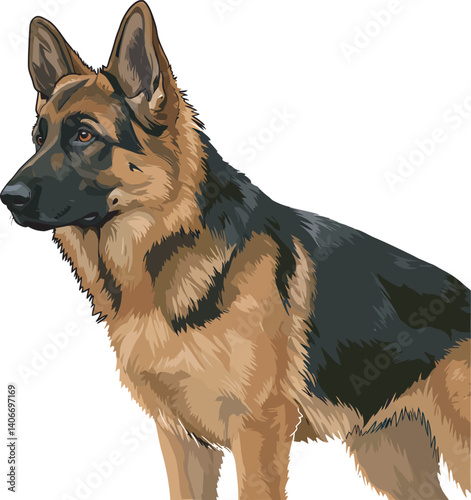 German Shepherd Vector Illustration on White Background, Breed Art.
