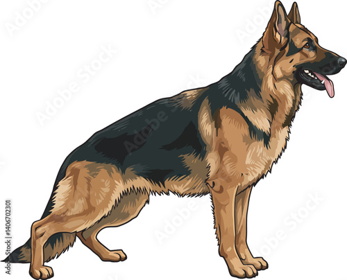German Shepherd Vector Illustration on White Background, Breed Art.