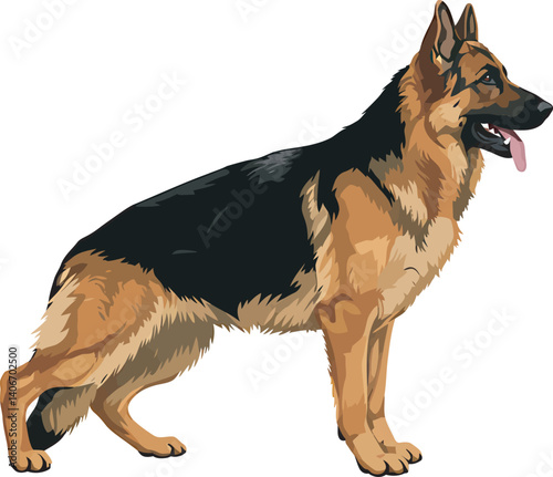 German Shepherd Vector Illustration on White Background, Breed Art.