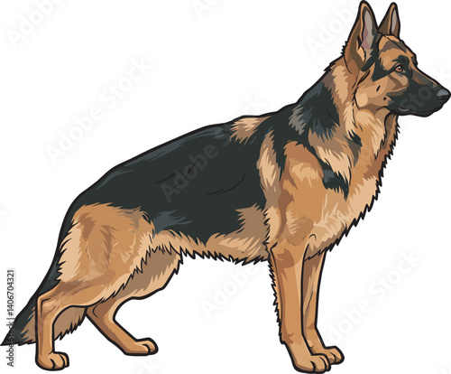 German Shepherd Vector Illustration on White Background, Breed Art.