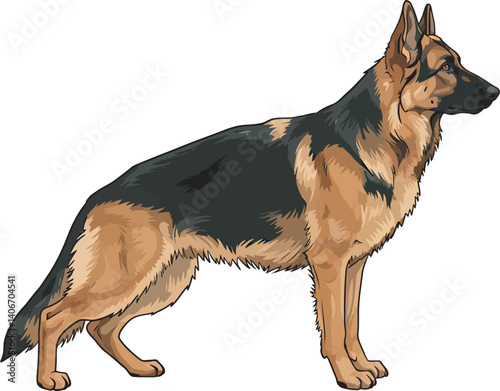 German Shepherd Vector Illustration on White Background, Breed Art.
