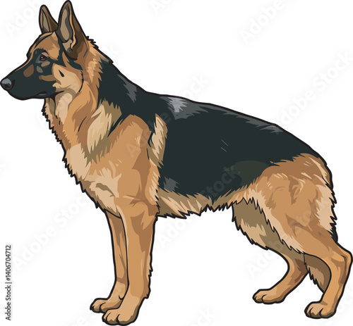 German Shepherd Vector Illustration on White Background, Breed Art.