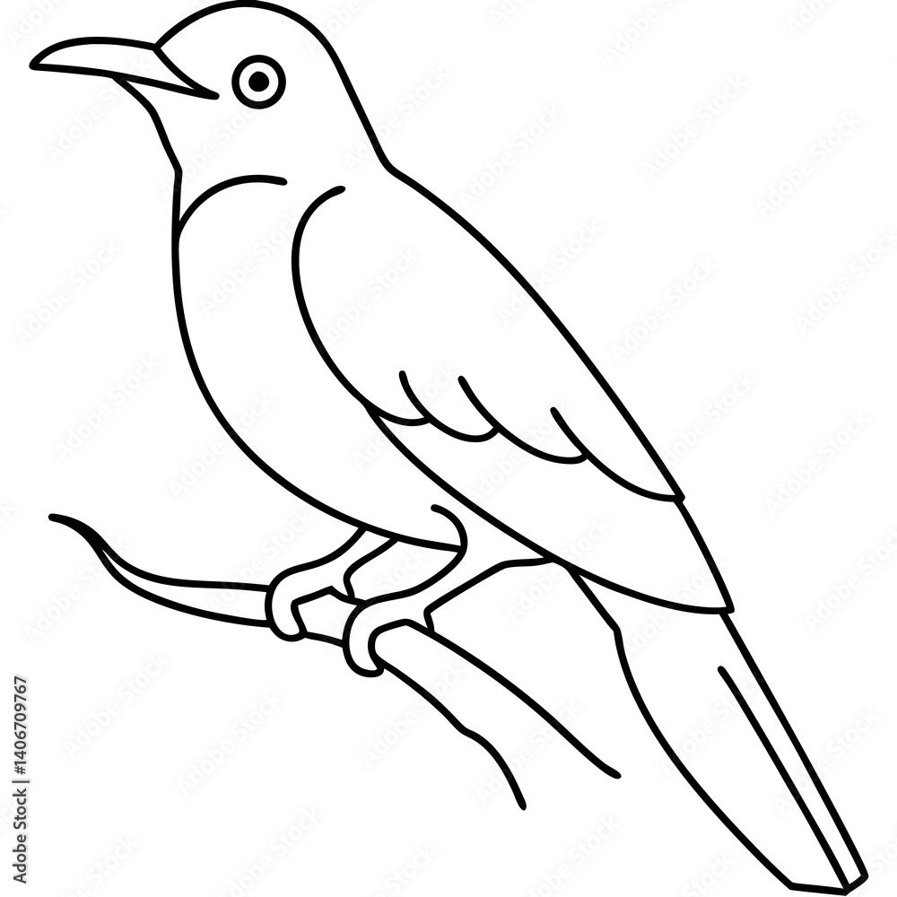 Cuckoo Birds Line Art Drawing for Kids – Simple Outline Vector Illustration for Educational Design Cuckoo Birds Line Art Drawing for Kids – Simple Outline Vector Illustration for Educational Design