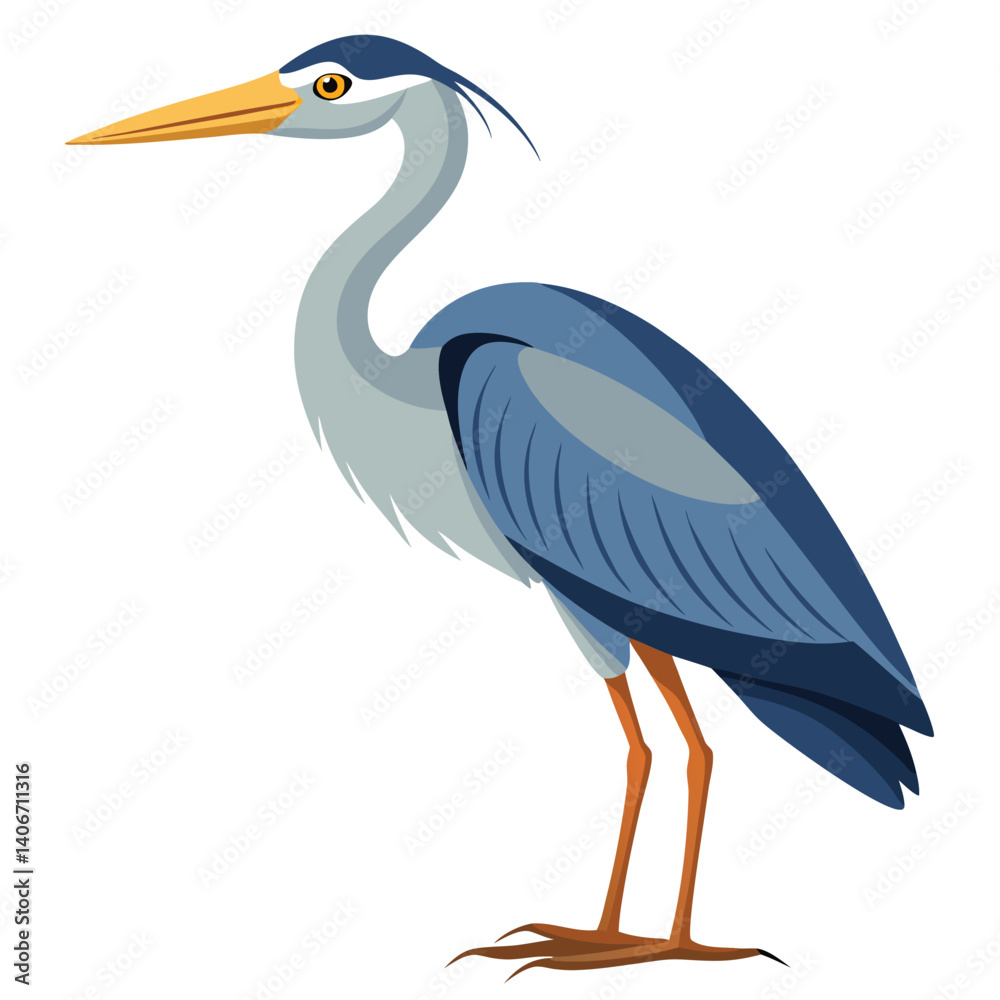 Obraz premium unique Heron bird isolated on white background