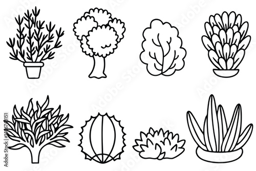 bush line art tutorial with easy step by step