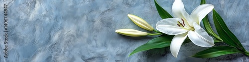 Elegant White Lily with Buds on Textured Blue Background, Floral Arrangement with Copy Space