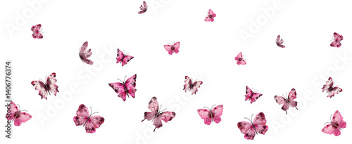Colorful flying butterflies PNG transparent illustration