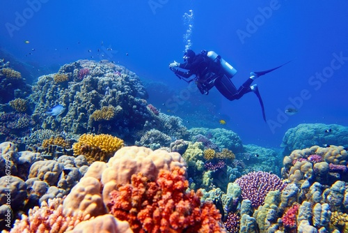 Man scuba diver near beautiful colorful healthy coral reef with diversity of hard corals