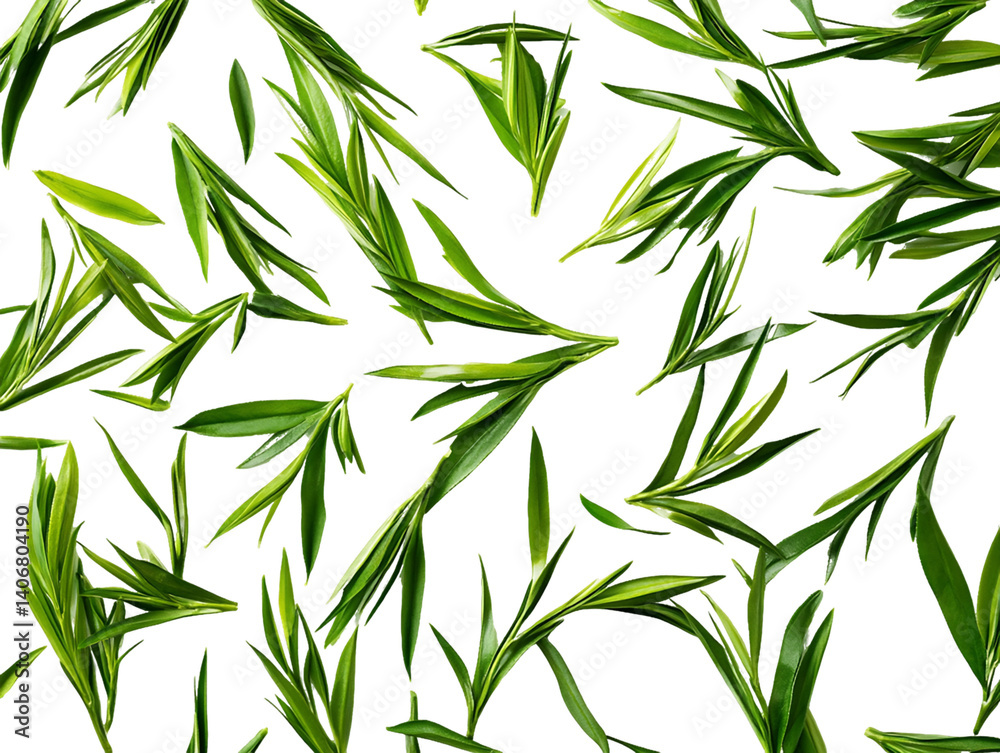 Naklejka premium Floating Green Tea Leaves on Transparent Background, PNG