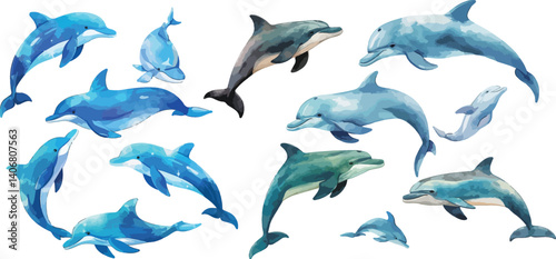 dolphin watercolor clipart
