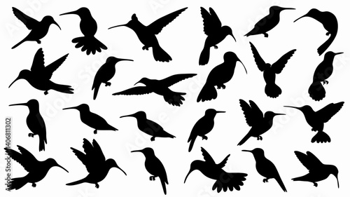 set of hummingbird silhouette vector on white background