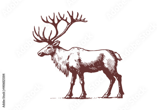 Reindeer hand drawn sketch illustration vector