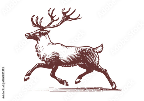 Reindeer hand drawn sketch illustration vector