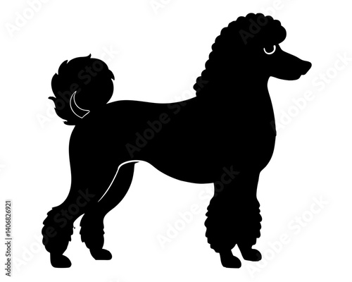 Standard Poodle Dog Silhouette Vector & SVG