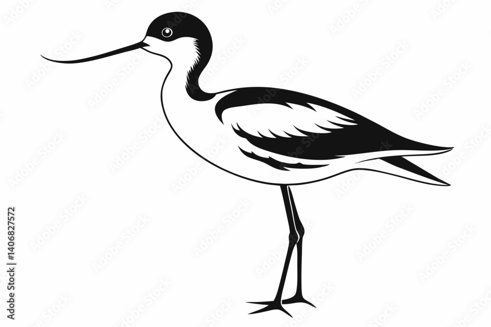 Fototapeta premium avocet silhouette line art vector illustration