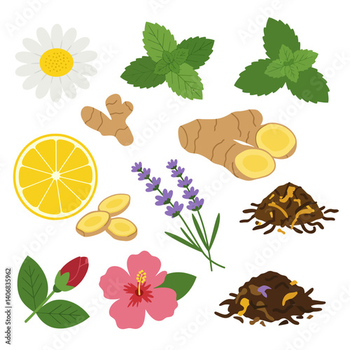 Herbal tea ingredients isolated.