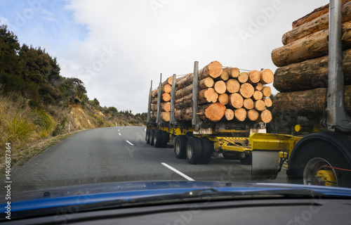 Obraz na płótnie Timber logs carried by long heavy-duty truck on the winding road. North Island. New Zealand. w salonie