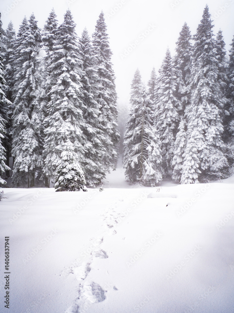 Naklejka premium The view of winter on the snowy plateau