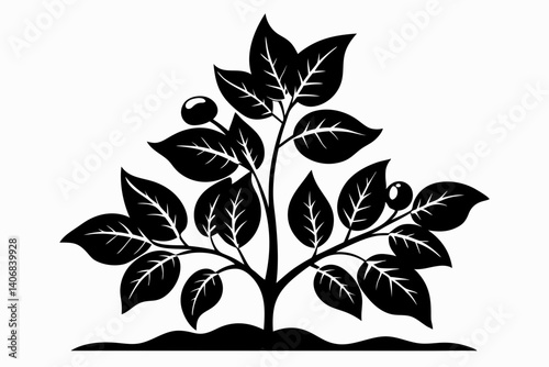 coffee plant silhouette line art vector illustration