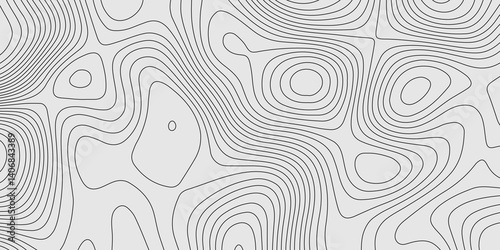 Vector grid map.Topographic contour map on white background.