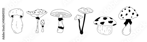 Mushrooms vector set. Hand drawn vector illustration of fungus in black and white colors. Drawing of boletus and fly agaric in line art style. Sketch of forest porcini and champignons group.
