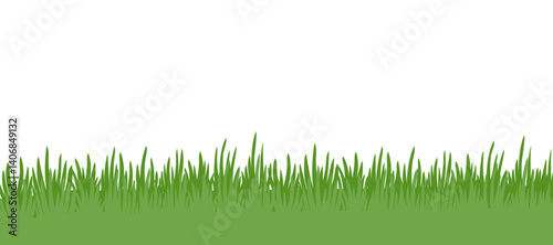 Green grass background. Template of green grass landscape isolated on white background. Vector illustration in flat style.