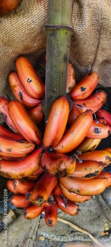 a bunch of ripe and semi-ripe bananas