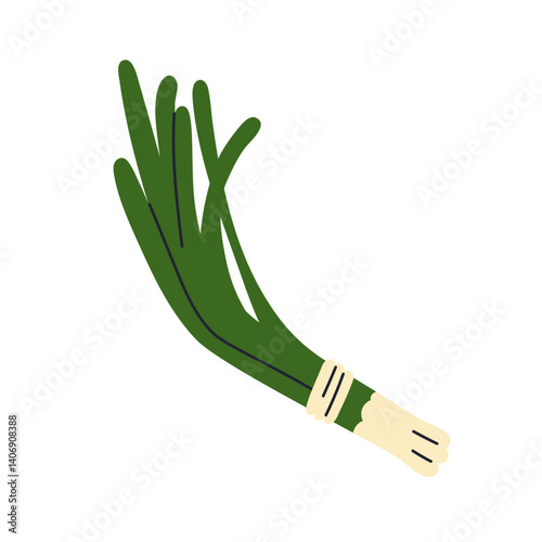 Scallion, spring onions in tied bunch. Fresh green vegetable, spicy sibies bu...