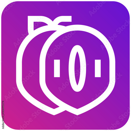 Sapodilla Vector Icon Design Illustration