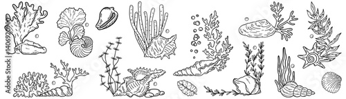 Set of underwater sea plants. Marine flora. Tropical aquatic algae, seaweed, leaf grass, coral shell. Exotic organic natural decoration for aquarium. Flat vector illustration isolated on white backgro