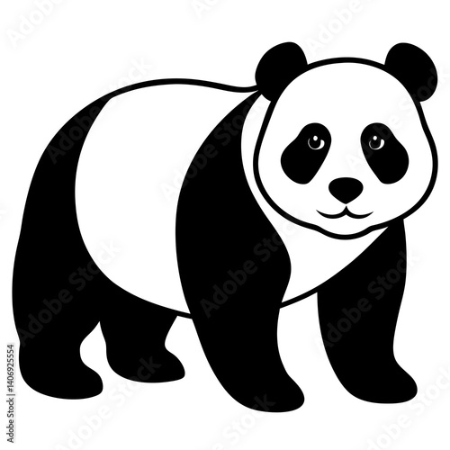 panda bear vector illustration