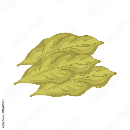 Illustration of Bay Leaf