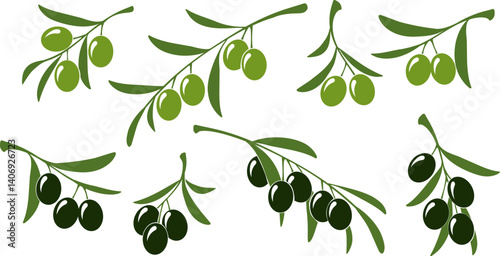 Green and black olives branch