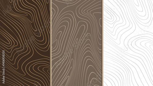 Set of wooden textures. Eco concept background with wood annual rings texture. Banner with dried planks pattern. Stamp of tree trunk in section. 