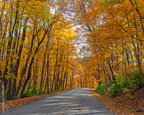 Road through colorful Autumn trees. Road through Pere Marquette State Park in Grafton, Illinois with colorful Fall foliage
