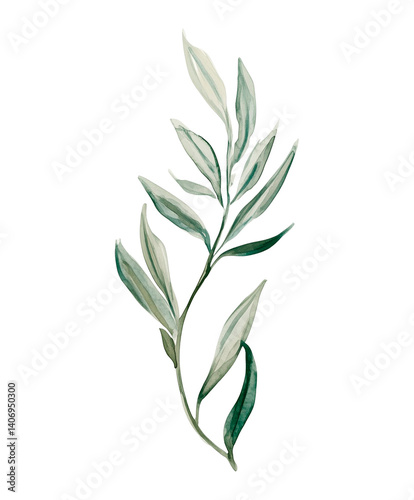 Elegant green foliage watercolor PNG illustration. Botanical leaf clipart on transparent background, perfect for wedding invitations and nature-themed designs