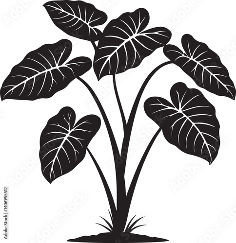 Silhouette of a taro plant  vector art illustration.