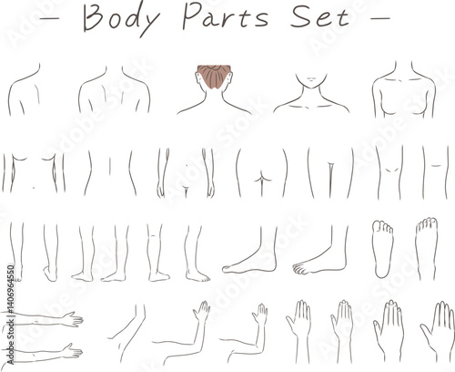 女性の身体の部位のイラストセット